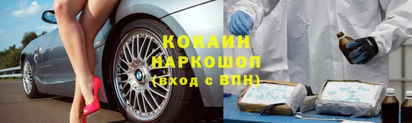 крисы Вязники