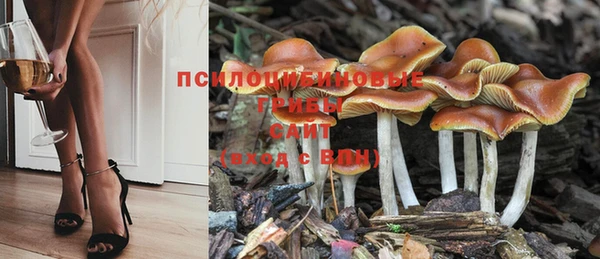 таблы Вяземский